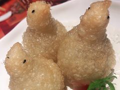 -点都德·毕德寮