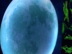 -天津梵高星空艺术馆(天河城旗舰店)
