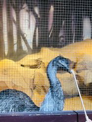 -酷嗒动物文化乐园(cutezoo西溪乐天城店)