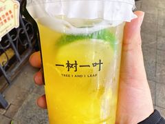 -一树一叶·福建茶档(石鼓路店)