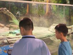 -正佳雨林生态植物园
