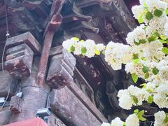 -报恩寺(平武县)