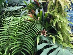 -长春公园(普阳街道)