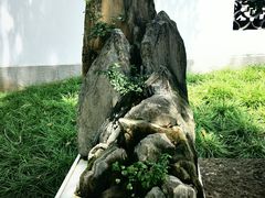 -上海醉白池公园