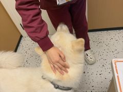 -瑞派康怡24h宠物医院·犬猫医疗中心·微创绝育(瑞景分院)