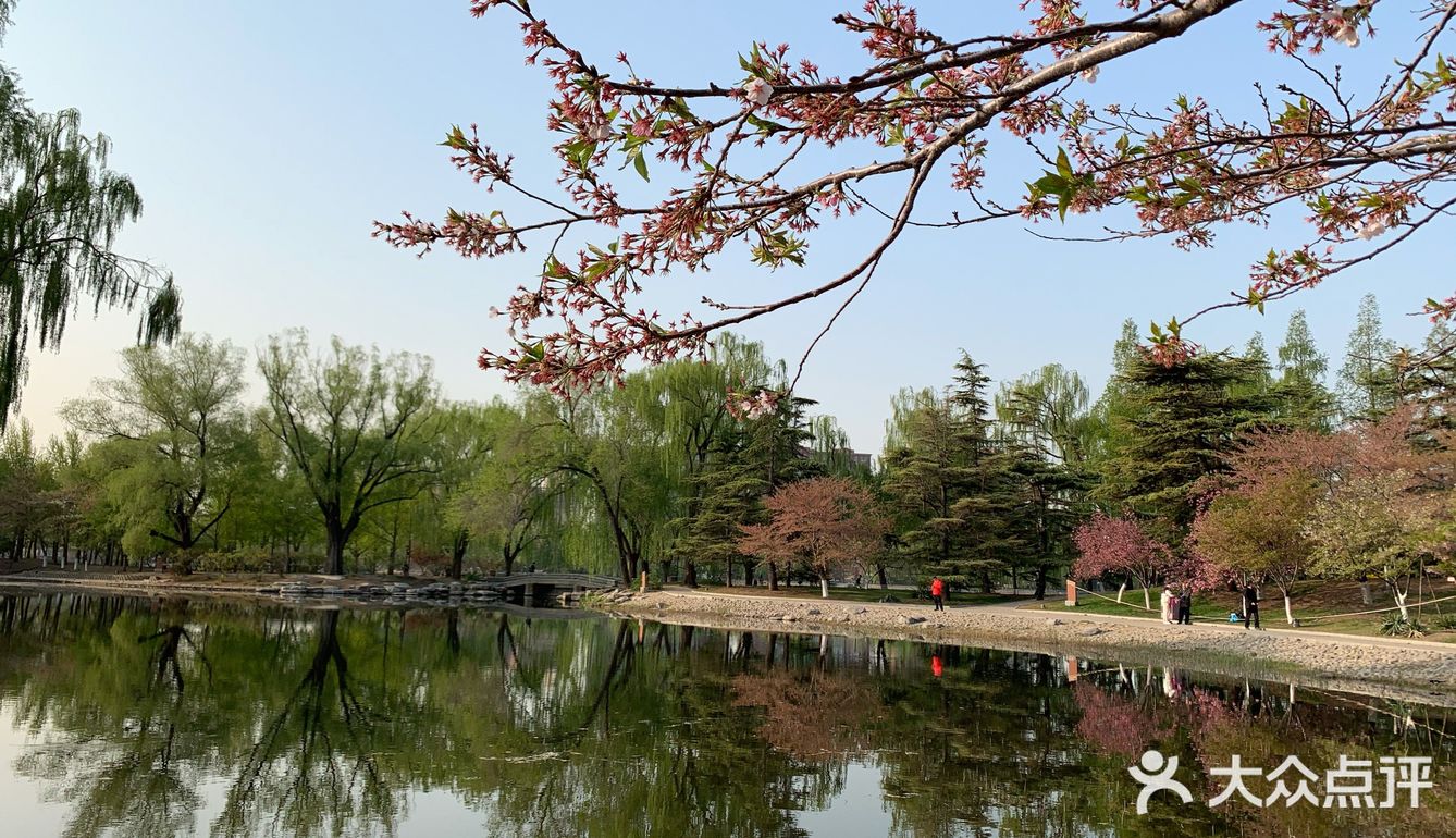 玉淵潭公園賞花日