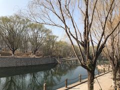 -山东艺术学院(长清校区)