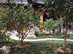 -下海庙