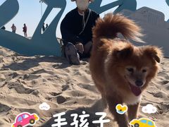 -库伦旗银沙湾旅游景区