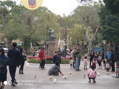 -东部华侨城