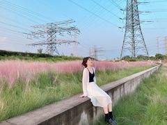 -王借岗森林公园