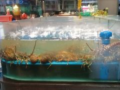-阿伟海鲜楼·福建菜(延寿店)