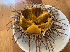 -海胆小馆(东北水饺·春柳店)