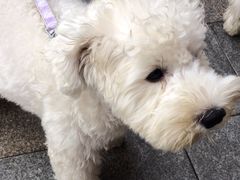 -赵小犇·江湖川菜馆