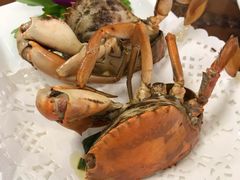 -友强·23年特色海鲜大排档(厦门店)