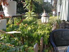 -聚缘·湘味音乐餐厅party(罗湖店)