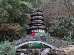 -深圳国际园林花卉博览园