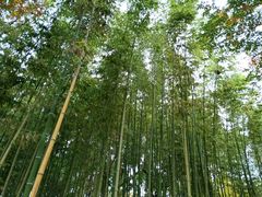 -华东理工大学·停车场