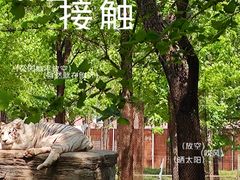 -秦皇岛野生动物园