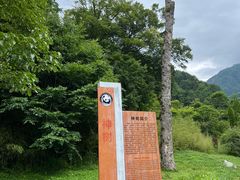 -卧龙中华大熊猫苑神树坪基地