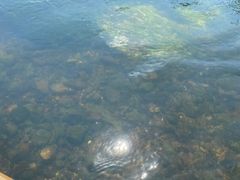 -杭州双溪漂流景区