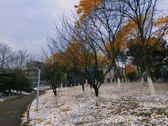 -安徽大学(磬苑校区)