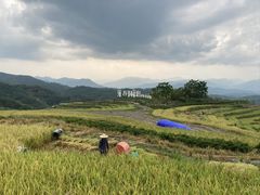 -牙胡梯田