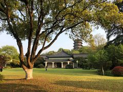 -浙江西子宾馆·瑶园咖啡厅