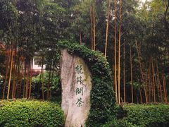 -十八棵（老龙井）御茶园(老龙井店)