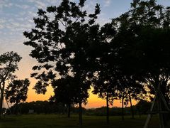 -露天矿生态公园