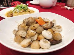 蚝油生菇烩鸡片-北园酒家(小北路店)
