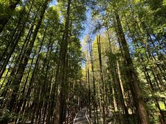 -山王坪喀斯特国家生态公园