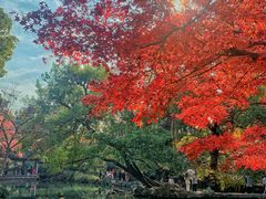 -惠山古镇·寄畅园