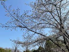 -后襄河公园