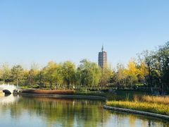 -西海子公园