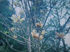 -迎泽公园