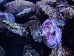 -成都浩海立方海洋公园
