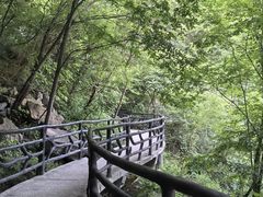 -十渡东湖港风景区