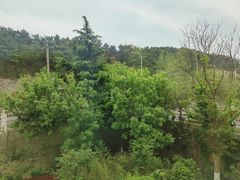 -浮山香苑