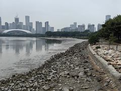 -深圳湾公园(南山区)