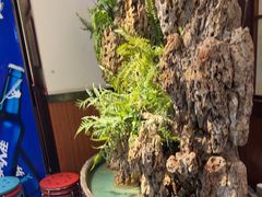 -成老灶火锅鸡(平山店)