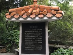 -同庆堂(解放北路店)