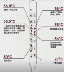 -名发世家烫染