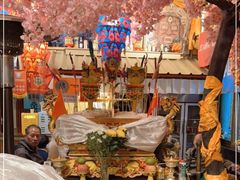-吉祥圣雪藏餐