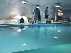 -北戴河圣蓝海洋公园