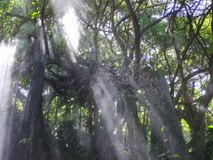 -青青世界