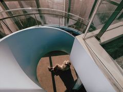 -WFC会仙楼观景台