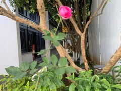 -南京市民俗博物馆(甘熙宅第)