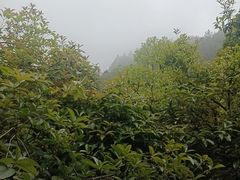 -故乡缘·香格里拉山庄(冷竹路店)