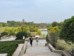 -张坝桂圆林公园